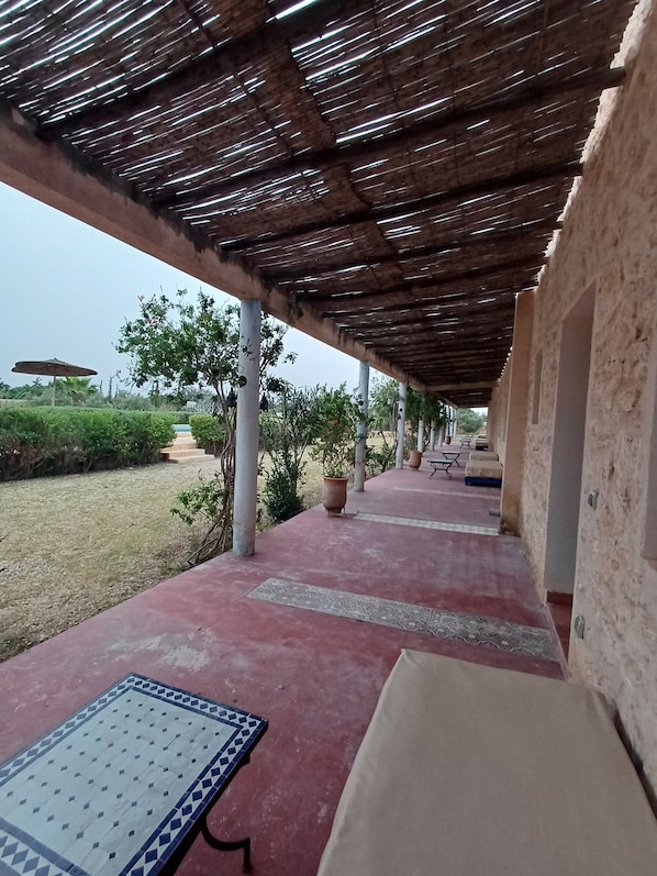 Un espacio al aire libre cubierto con suelo de baldosas, plantas en macetas y una estructura de pérgola.
