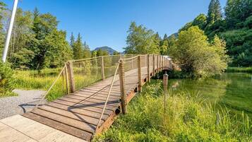 Un pont en bois, muni d’une barrière en corde, enjambe une rivière paisible, le tout étant entouré d’une végétation luxuriante et d’arbres.