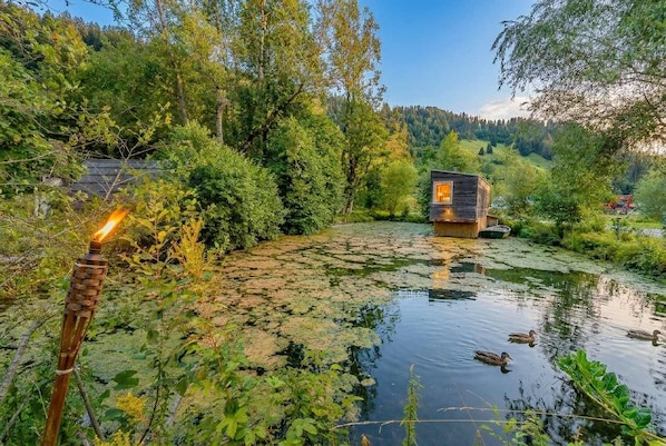Una cabaña aislada rodeada por un estanque con patos, vegetación densa y una ladera boscosa.
