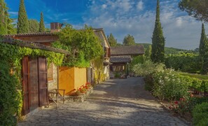 Exterior - Vrbo Property (Doglio)