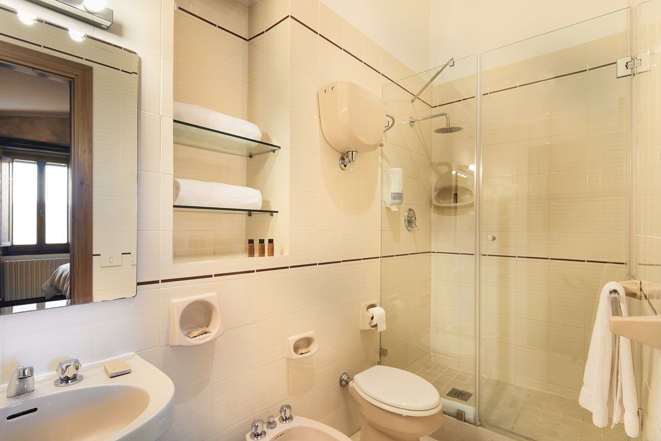 A modern bathroom with a glass shower enclosure, a toilet, a sink, and a mirror.