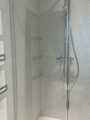 Shower, hair dryer, towels, toilet paper - The vineyard setting, the luxurious gite (Wettolsheim)