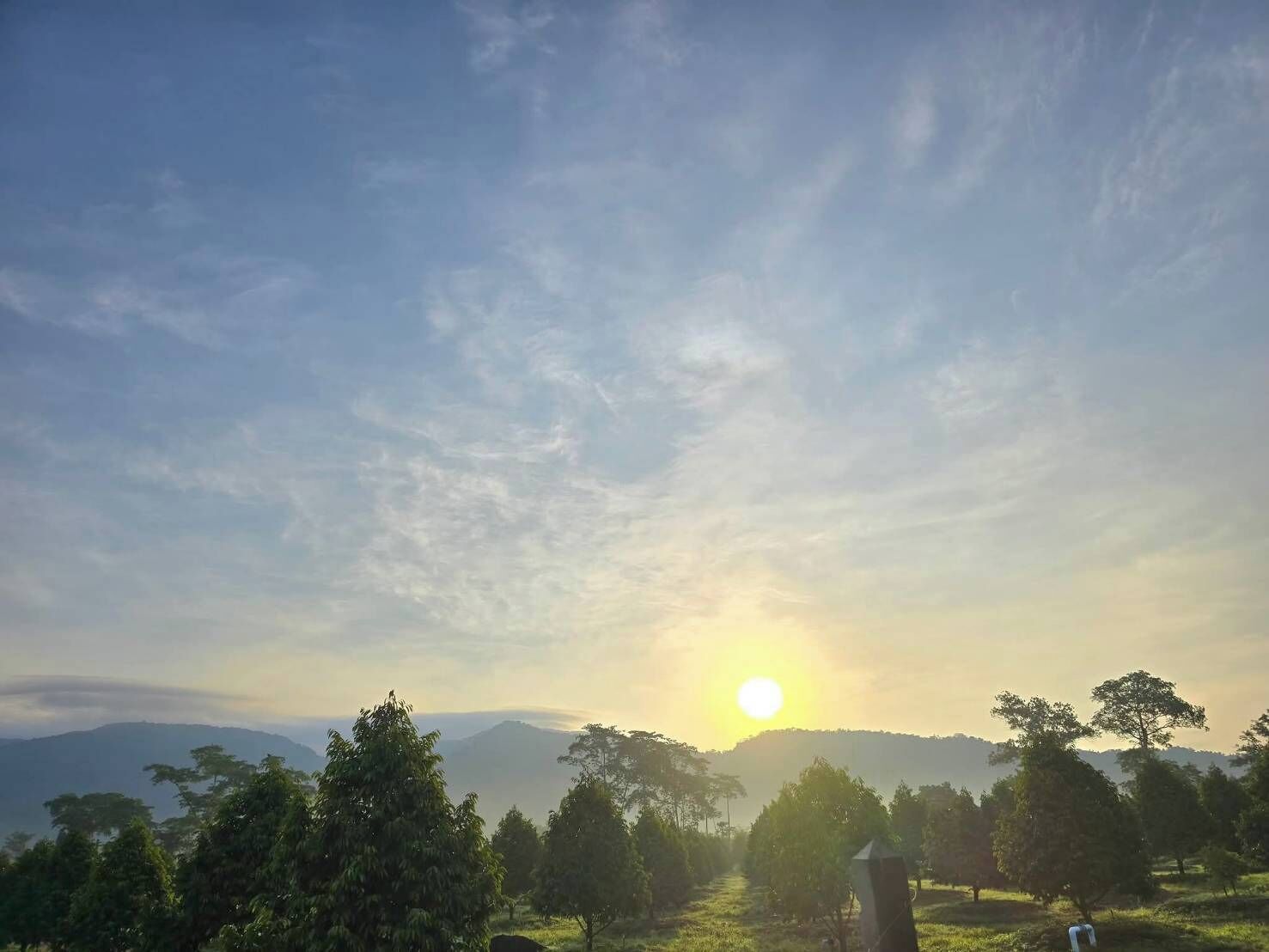 Un paysage avec un ciel dégagé, le soleil se couchant ou se levant, et des arbres au premier plan.