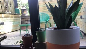 A potted plant in a large pot on a windowsill, with smaller pots and a green chair in the background. - Chorlton Garden Rooms - Relax, work, stay & play. (Manchester)