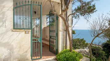 Detalle del exterior