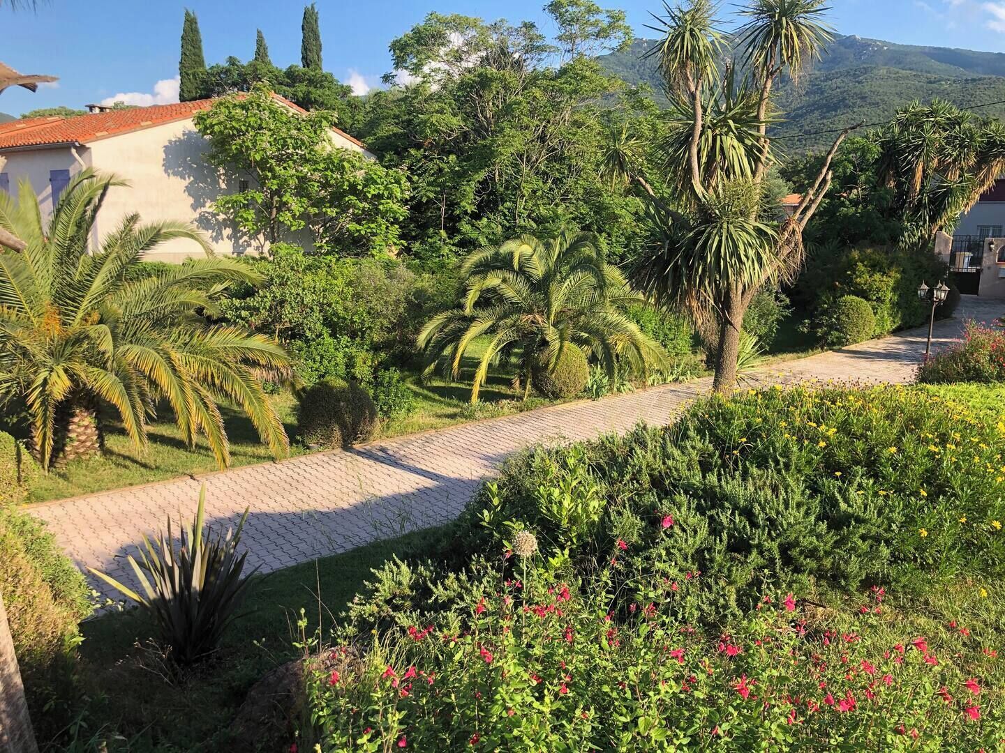 A garden pathway leading to a building with a red-tiled roof, surrounded by lush greenery and palm trees.