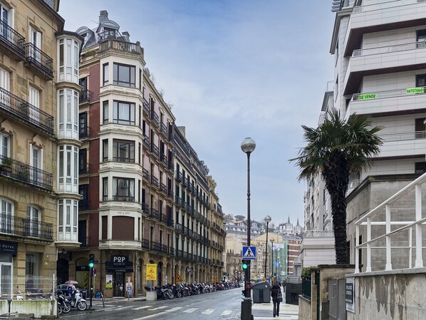 A street with historic buildings, a pedestrian crossing, and a palm tree. - Itsaskirri - Basque Stay (San Sebastián)