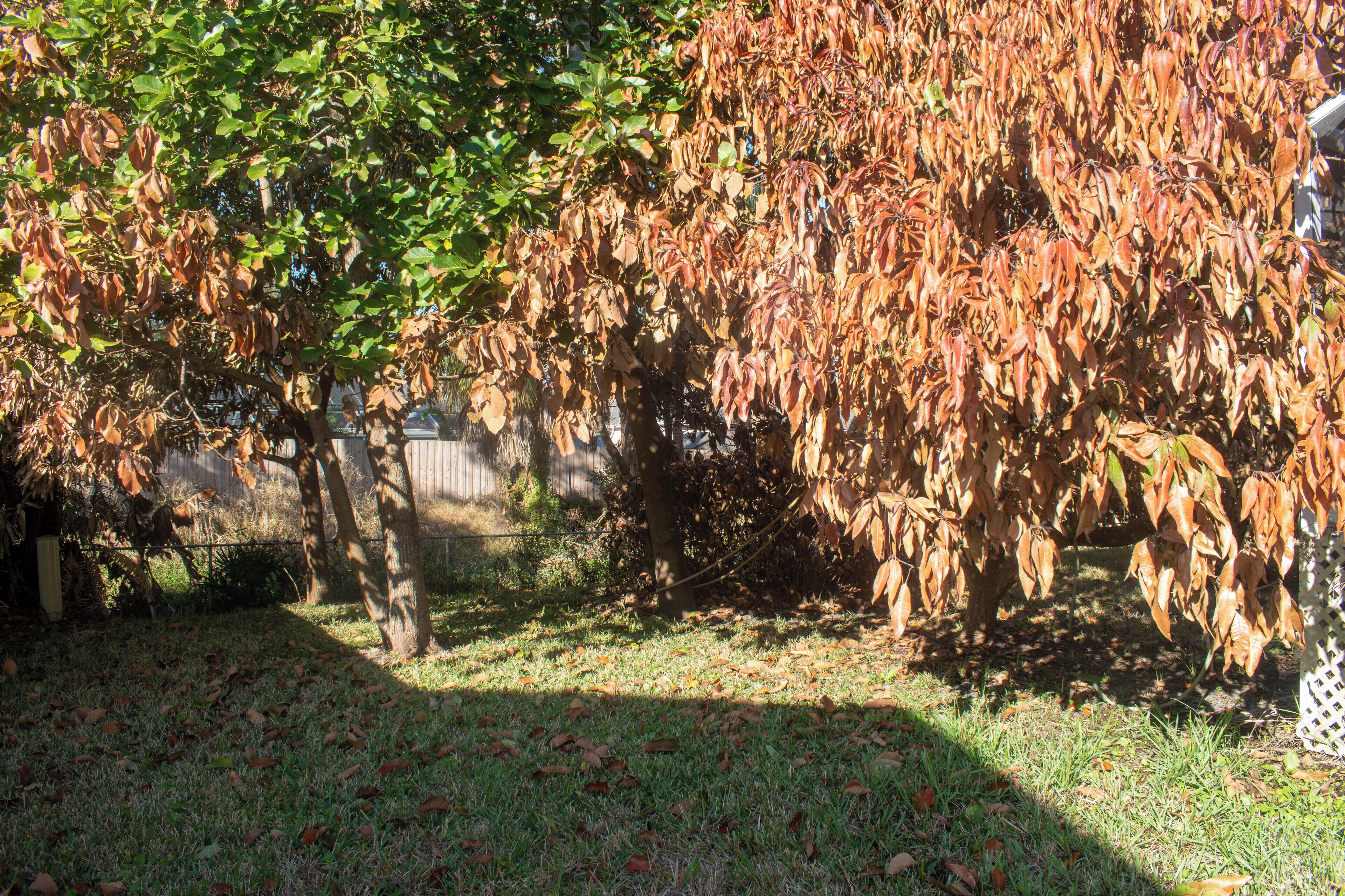 House, Patio | Property grounds