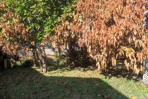 House, Patio | Property grounds - Peace of Mind and Resting place (Port Saint Lucie)