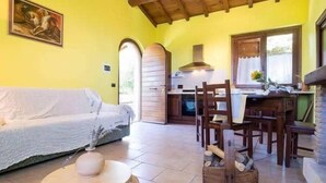 Ein Zimmer mit einer Couch, einem Esstisch mit Stühlen, einer Küchenzeile und einem Kamin.