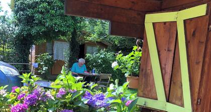 Chalet Duccio- pets welcome