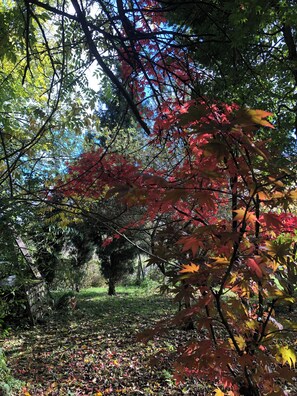 Property grounds - Chalet Duccio- pets welcome (Potelle)