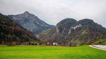 A mountainous landscape with a green field and a road curving through it.