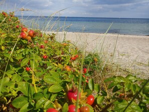 En strand med klart, blåt vand og en sandet kyst.