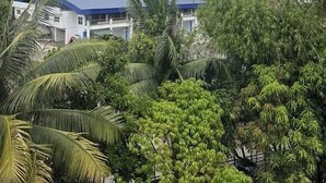 A residential area with houses, lush greenery, and a cloudy sky. - Lisro Sleep And Relax La Union near Beach (San Juan)