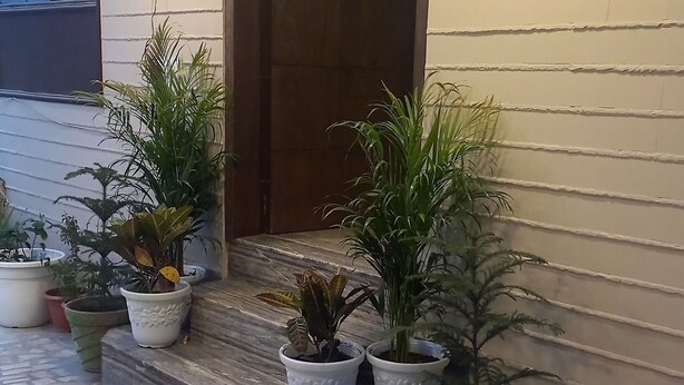 Una entrada de edificio con puerta de madera, plantas en macetas y piso de baldosas.