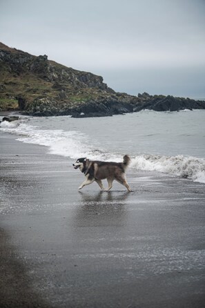 Pet-friendly - Knockinaam Luxury Lodges (Stranraer)