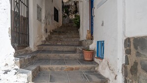 A stone staircase leading to a door with a blue shutter, a potted plant, and a cat statue.