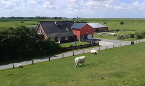 Ulkoalueet