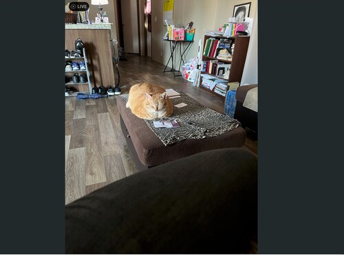 Beautiful home waiting for you