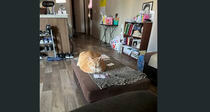 Beautiful home waiting for you