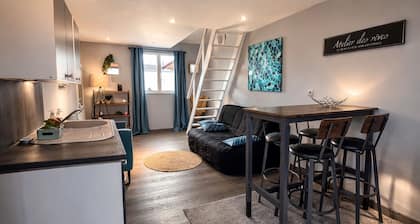 Le petit nid de St Germain