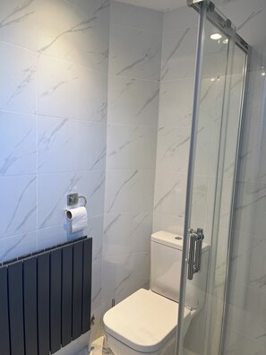 Shower, towels, soap, toilet paper