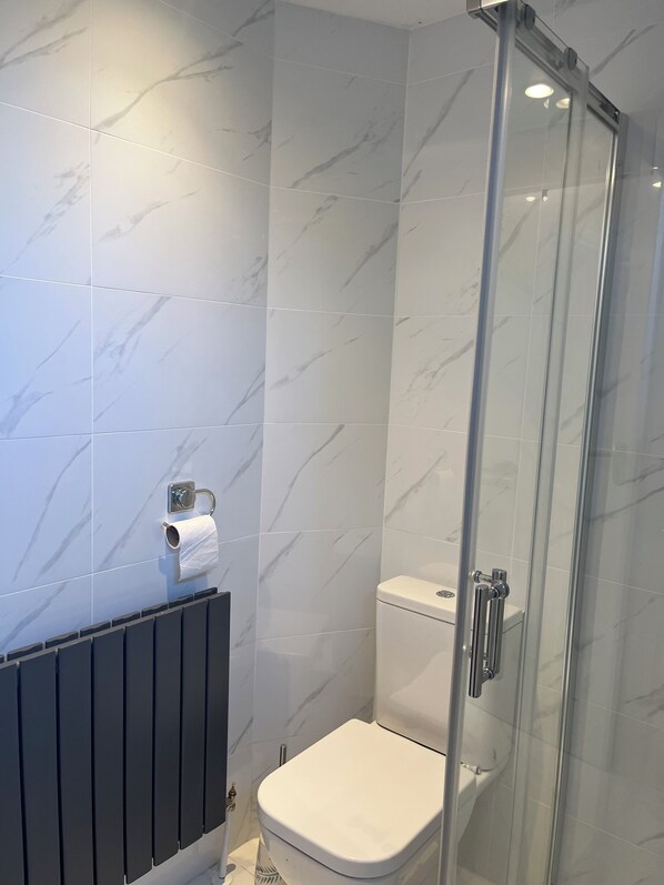 Shower, towels, soap, toilet paper