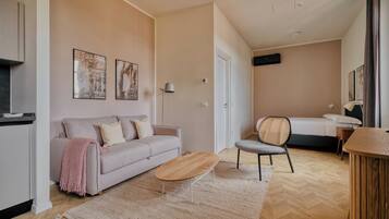 Studio with sofa bed