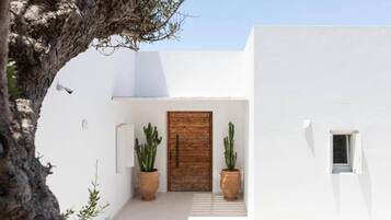 Un bâtiment blanc avec une porte en bois, deux cactus en pot et un arbre.