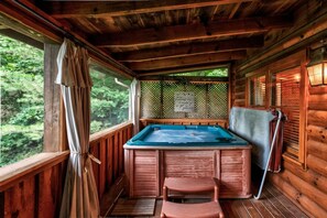 Interior - Nice View Fireplace  Hot Tub  Porch Bed  Private (Sevierville)