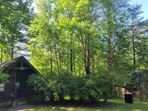 Ein rustikales Holzhaus, umgeben von dichtem Grün.