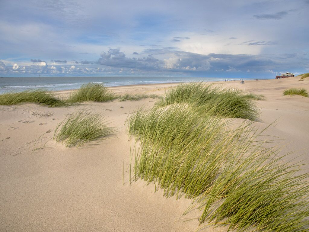Een zandstrand met groene duinen en een verre uitzicht over de oceaan.