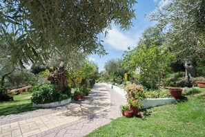Jardin