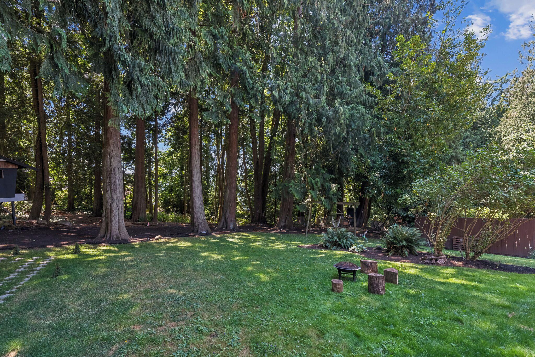 A backyard with tall trees, a wooden bench, and a garden area.