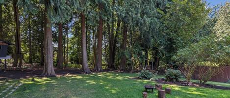 A backyard with tall trees, a wooden bench, and a garden area.