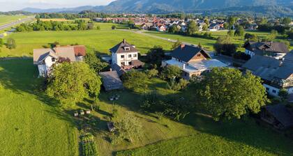Private Villa Moka near Bled with AC, Wi-Fi, free parking, BBQ, huge garden