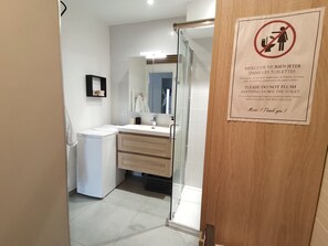 Shower, hair dryer, towels, toilet paper - Coco on peaceful 37m2 between lake and mountains (Dingy-Saint-Clair)