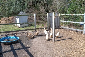 Overnattingsstedets uteområder