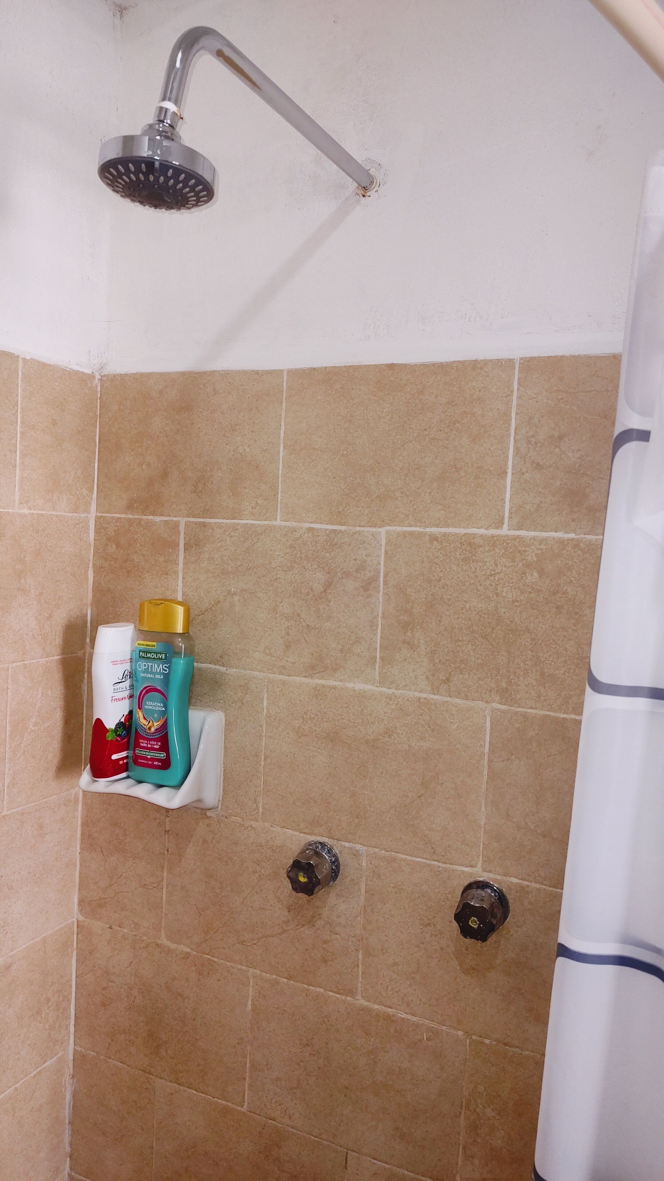 Shower, towels, soap, toilet paper
