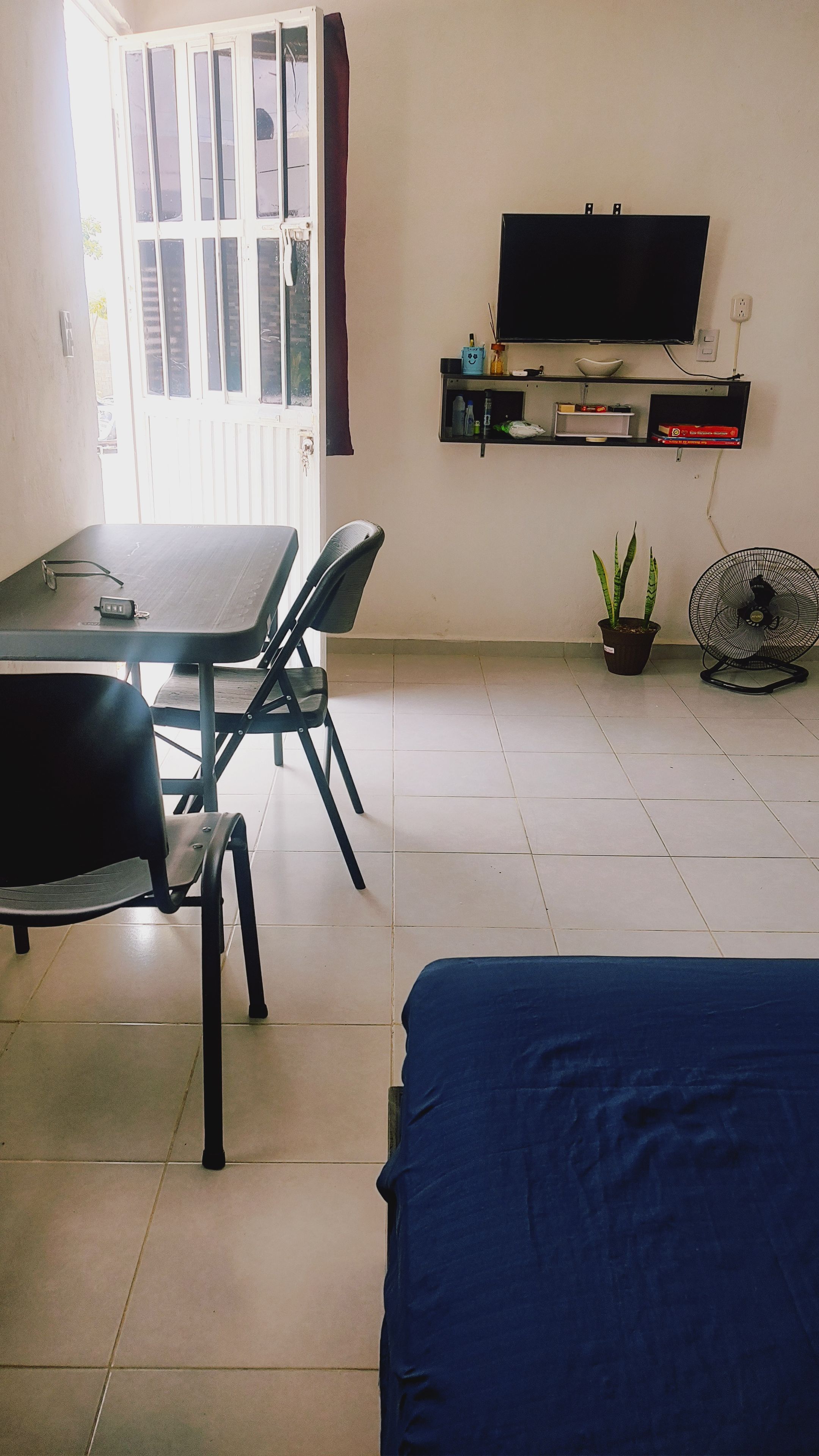 A room with a bed, a table with chairs, a television, a fan, and a potted plant.