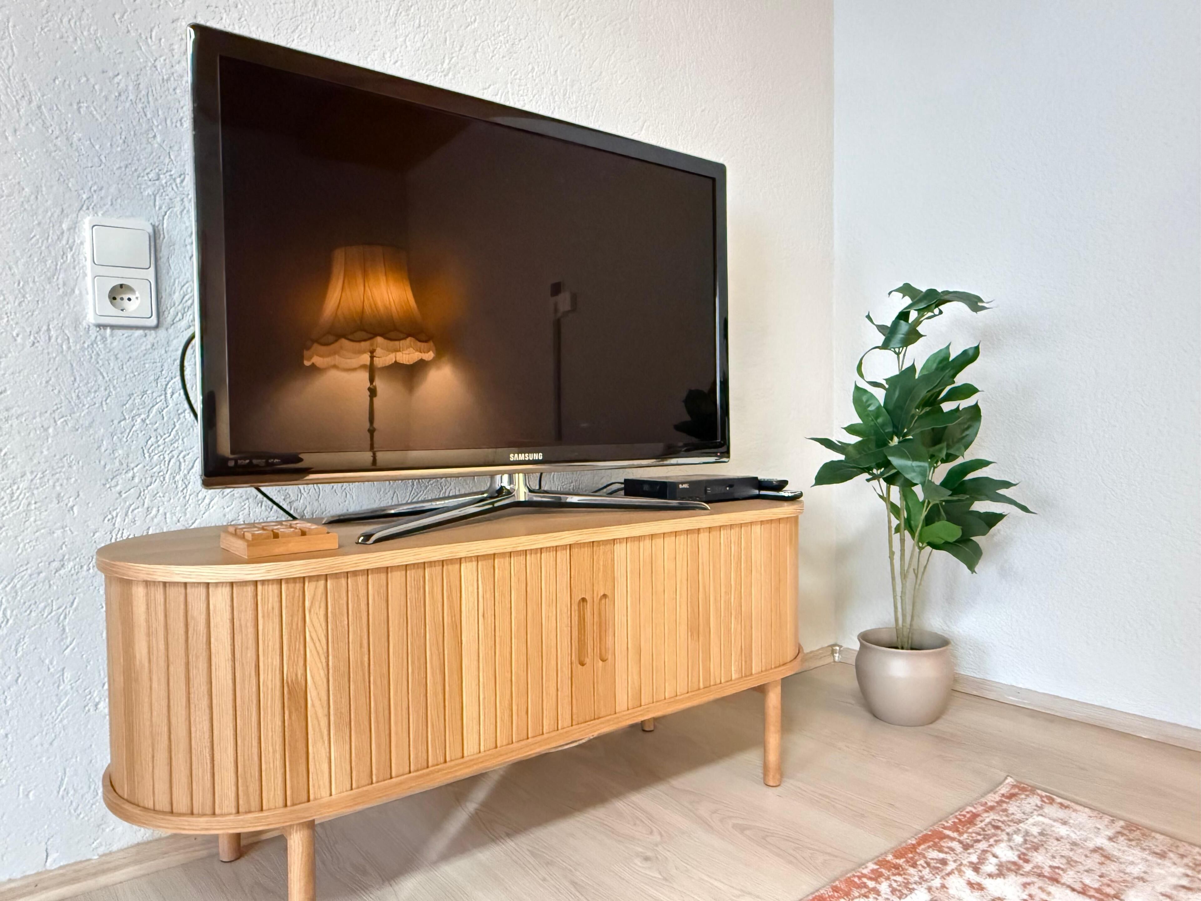 Ein Flachbildfernseher auf einer Holzkabine, eine Lampe und ein Blumentopf in einem Raum mit weißer Wand und Holzboden.