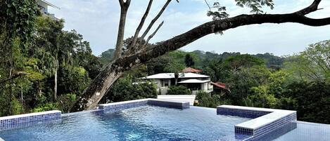 Une piscine aux carreaux bleus, entourée d’une végétation luxuriante et d’un grand arbre.