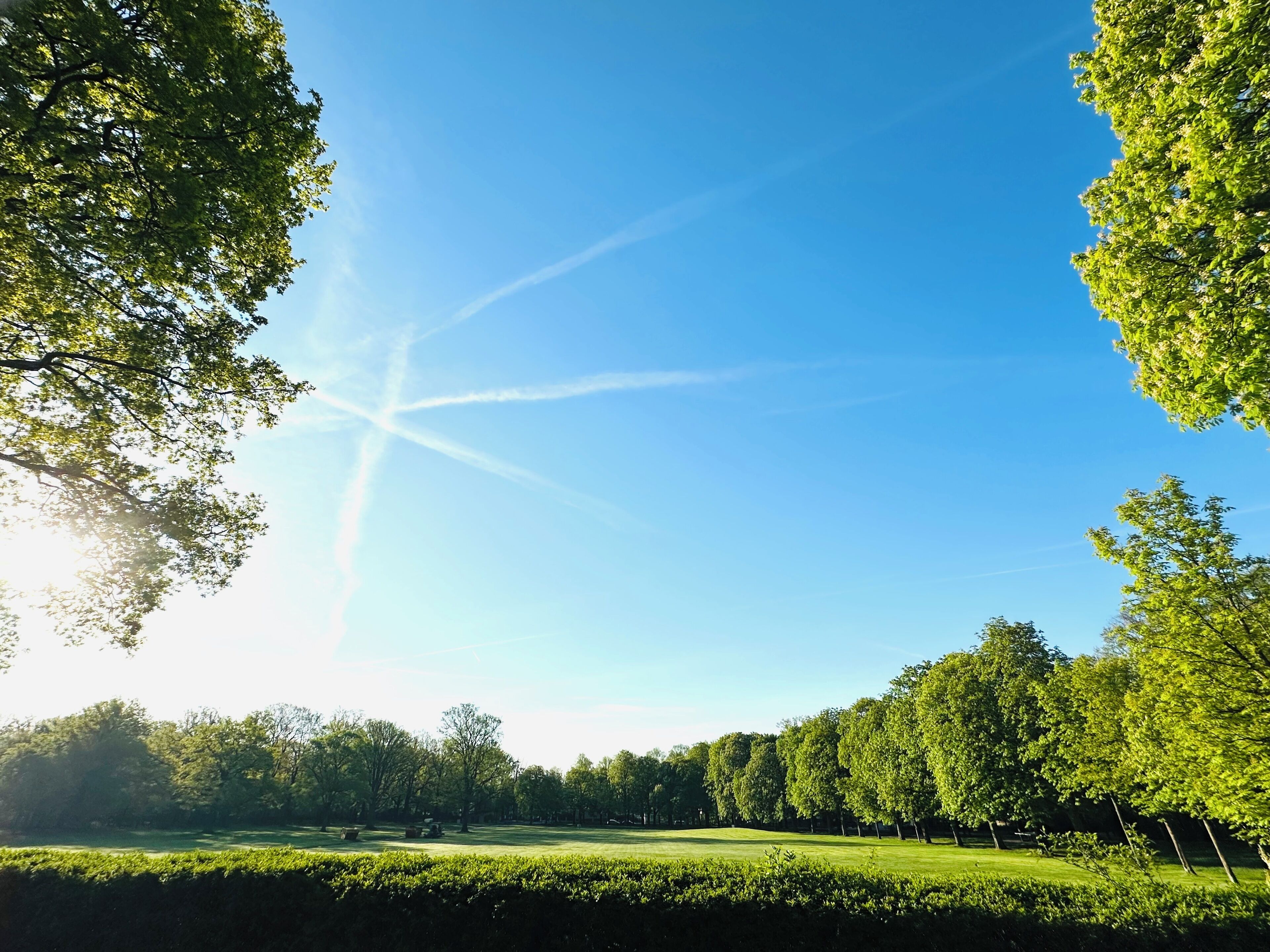 Un parc avec un ciel dégagé, des arbres et une pelouse bien entretenue.