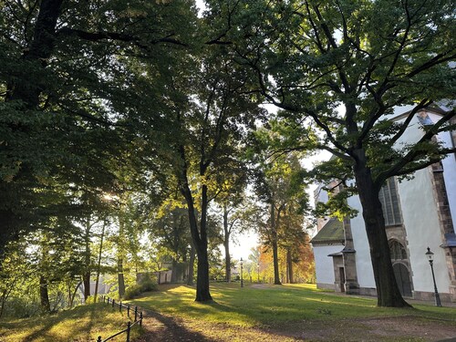 Stilvolles Apartment direkt am Wald, ruhig und zentrumsnah