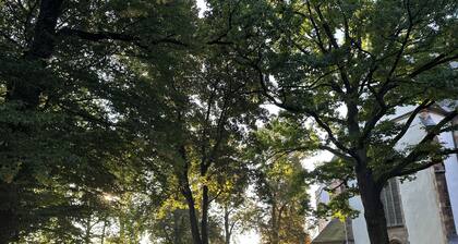 Stylish apartment right by the forest, quiet and close to the center
