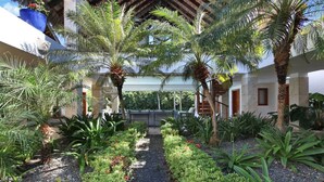 A courtyard with palm trees, a pathway, and a seating area. - Villa Monica: Private retreat near golf w/ staff, pool & golf cart (Punta Cana)