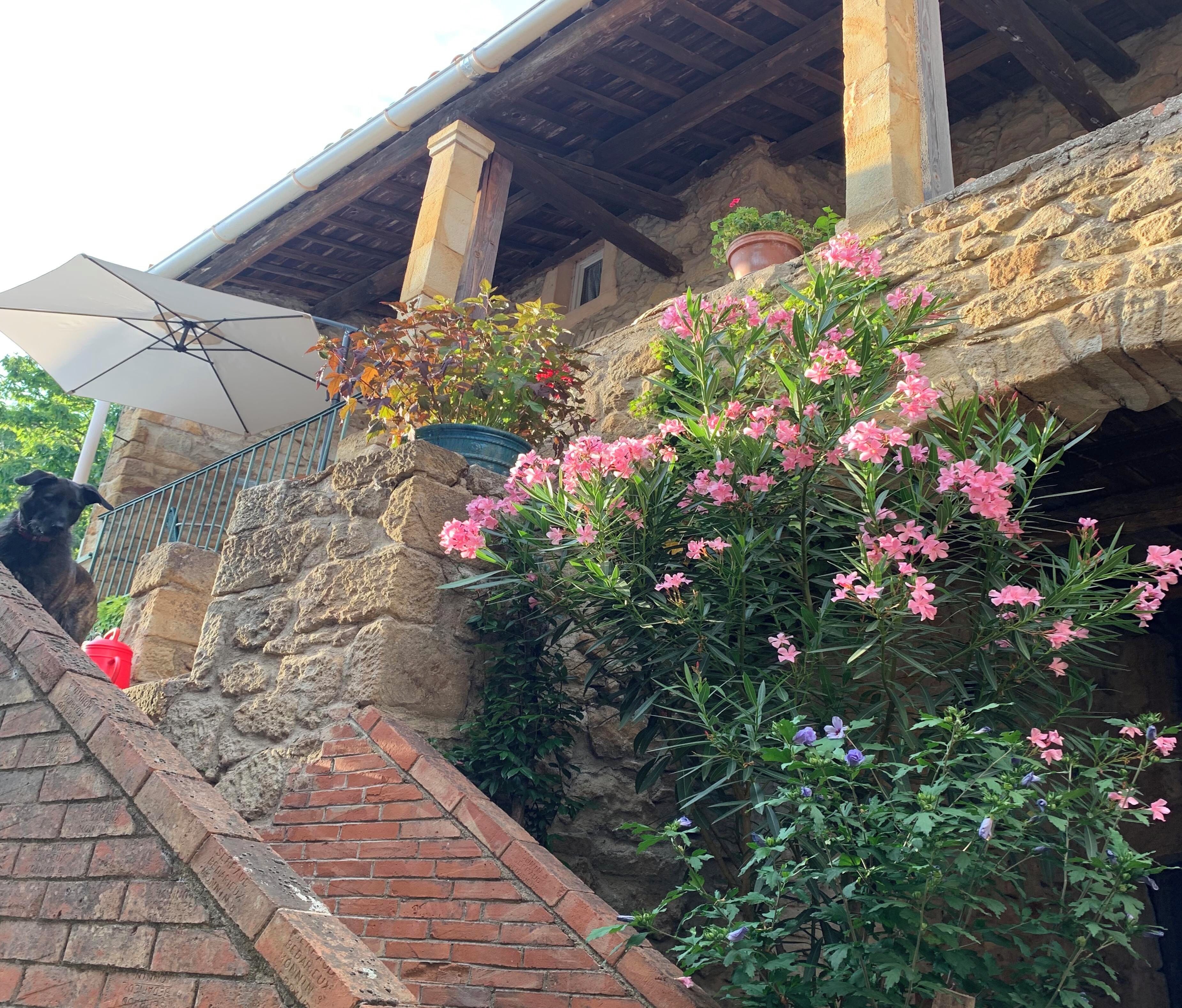 Terrein van de accommodatie