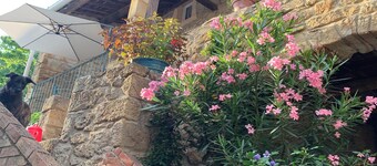 Fine vacation home in mountain village; endless hiking, cycling and MTB possibilities