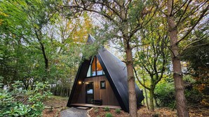 Eine moderne, dreieckige Holzhütte, eingebettet in einen Wald.